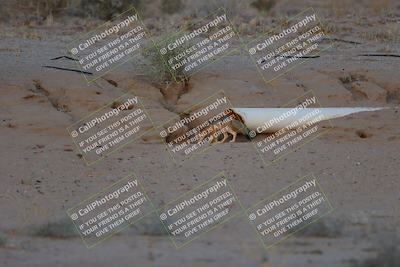 media/May-26-2024-TrackXperience (Sun) [[9b53715927]]/5-Turn 16 Foxes/